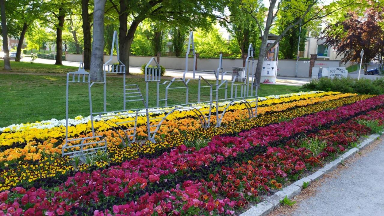 Alte Baeckerei Bautzen - 00 #Kids# Im Zentrum, Mit Parkplatz, Top Ausgestattet Екстериор снимка
